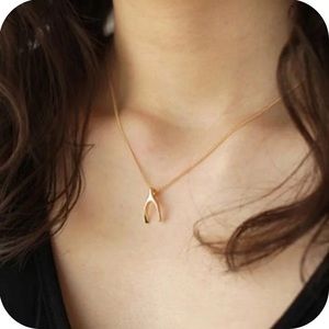wishbone necklace